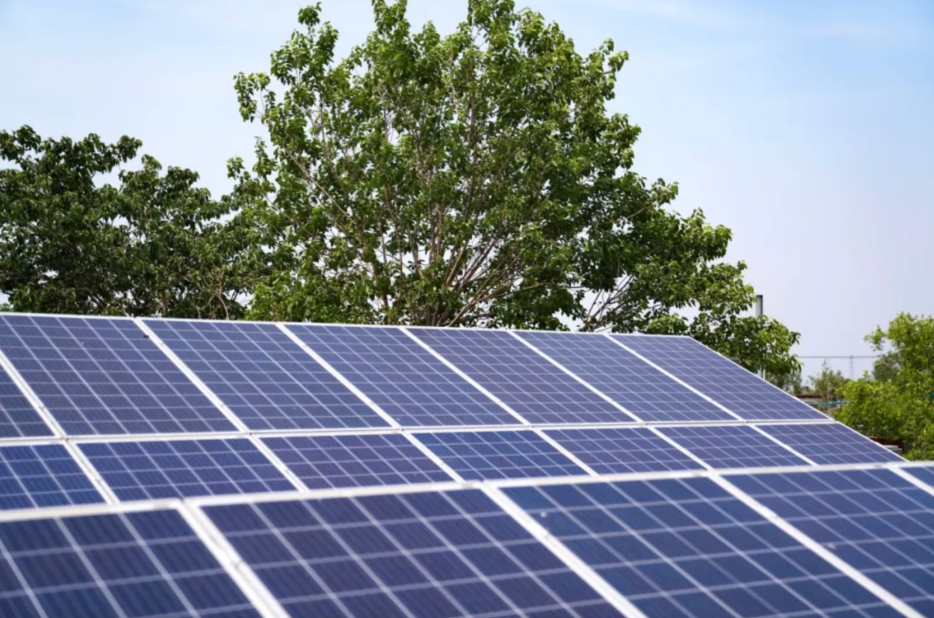 又一利好！《关于促进可再生能源绿色电力证书市场高质量发展的意见》出台