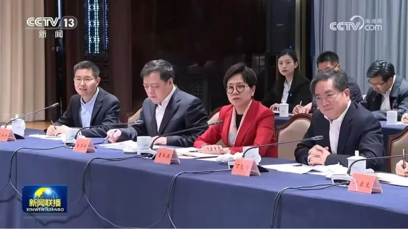 南存辉参加总理座谈会发言：以新质生产力推进新型工业化