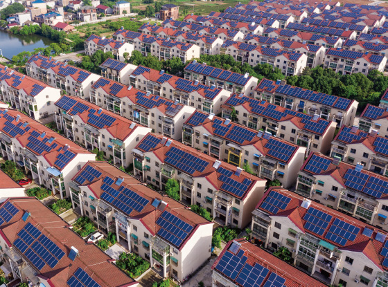 @所有人 低碳环保还能增收，快来打卡&ldquo;浙&rdquo;里闪光点