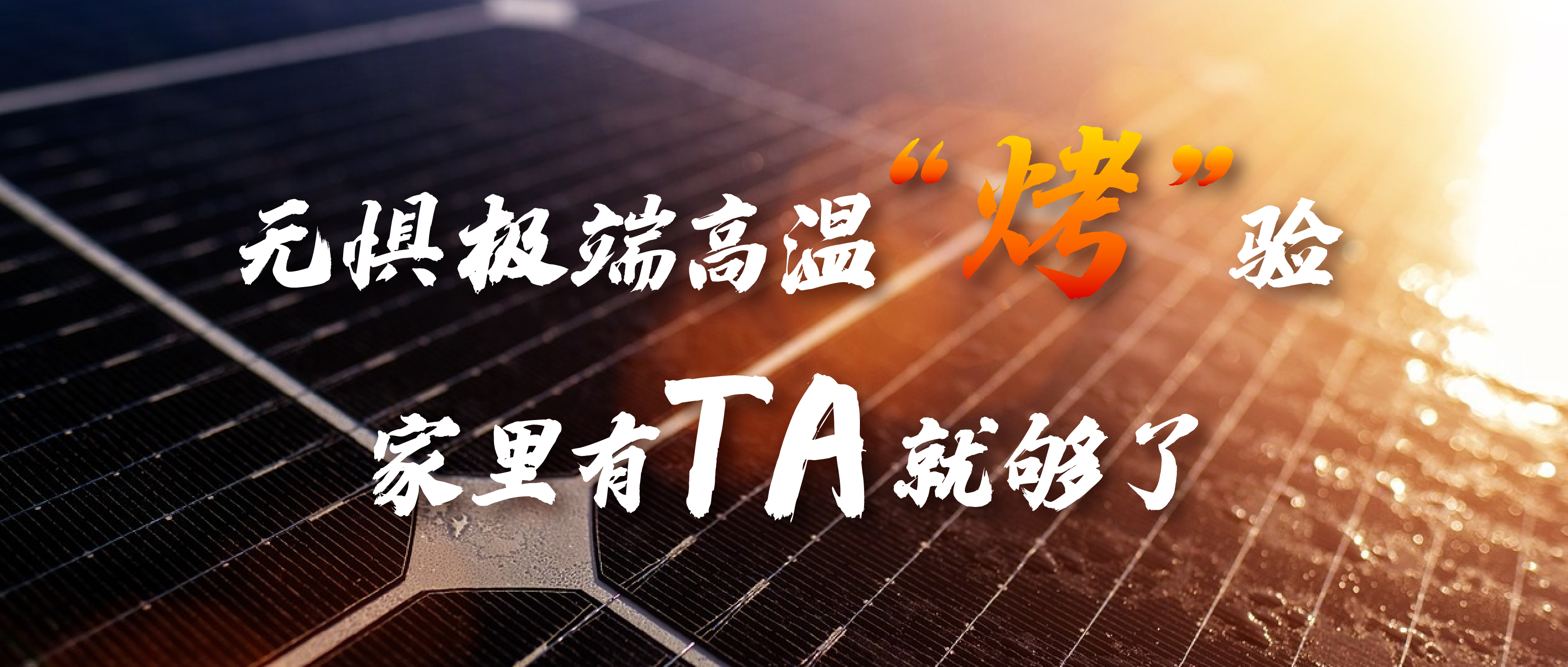 无惧极端高温&ldquo;烤&rdquo;验，家里有TA就够了