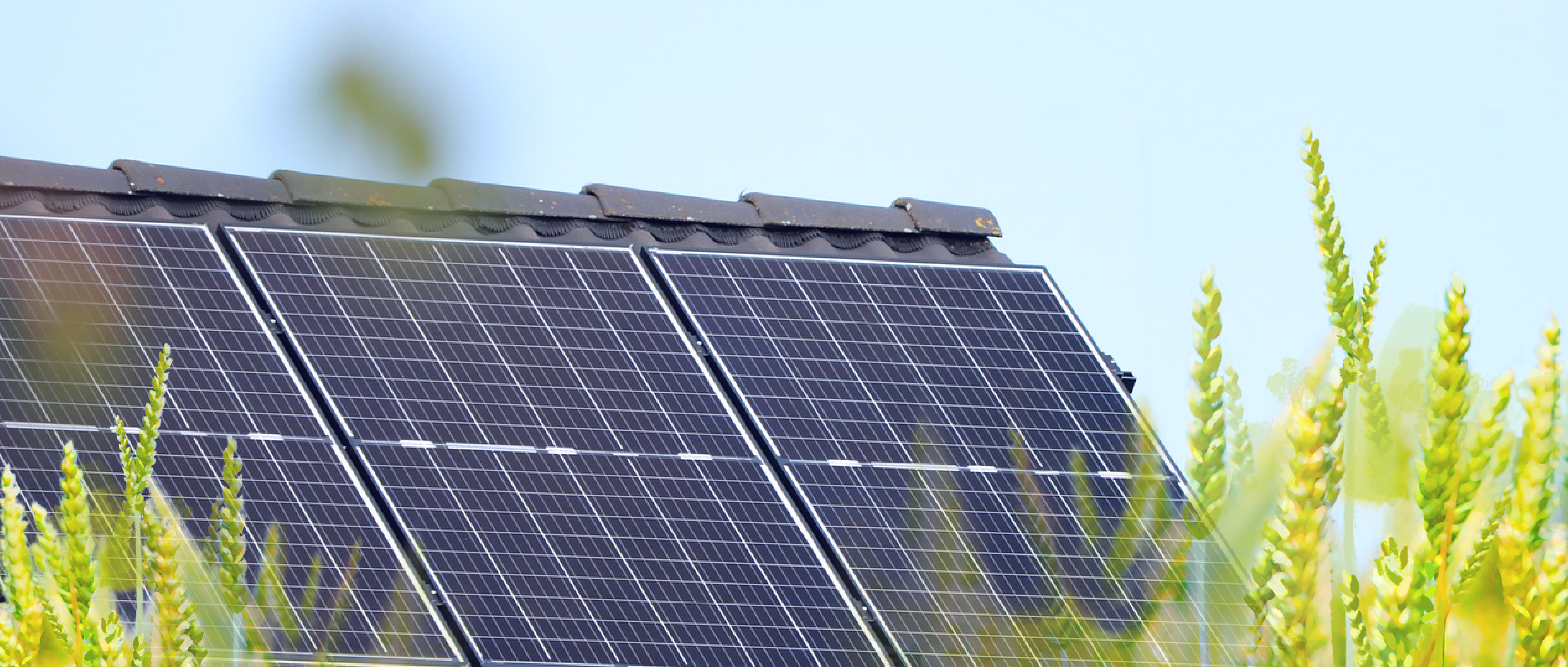 屋 顶 晒 秋 阳 ， 收 获 好&ldquo;丰&rdquo;光