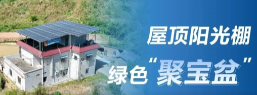 中国新闻网：正泰安能阳光棚成广东龙川用户&ldquo;聚宝盆&rdquo;