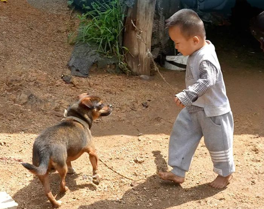 屋顶看乡村 | 幼有所长！&ldquo;沐光庭&rdquo;点亮留守儿童阳光未来