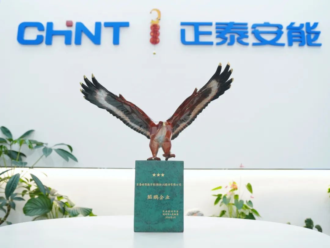 &ldquo;泰&rdquo;赞了！正泰安能再获&ldquo;鲲鹏企业&rdquo;荣誉称号
